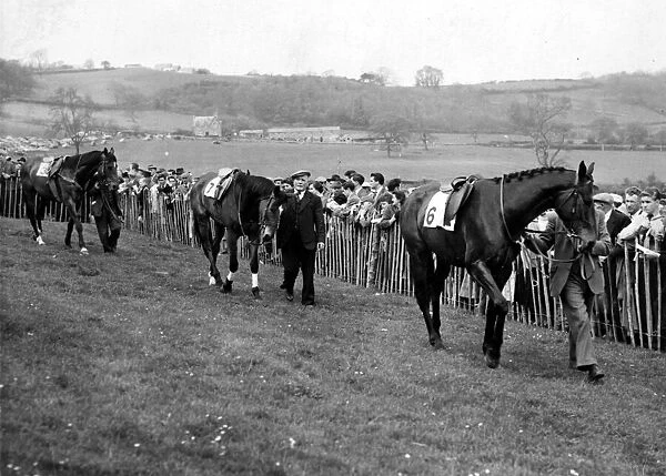 Horse Racing - Point-To-Point - Horses being lead out before a race - 1957