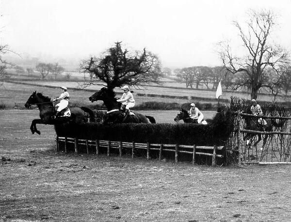 Horse Racing - Point-To-Point - Up and over the riders in the Ladies Steeplechase race at
