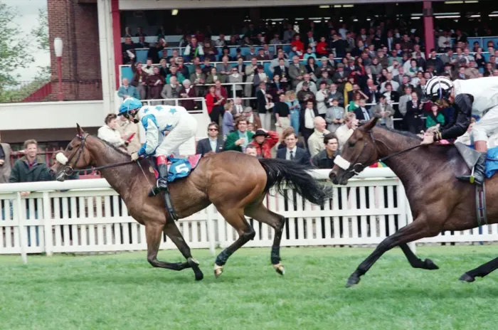 Framed Print : Horse Racing at Redcar. Zetland Gold Cup Day. 31st May 1993