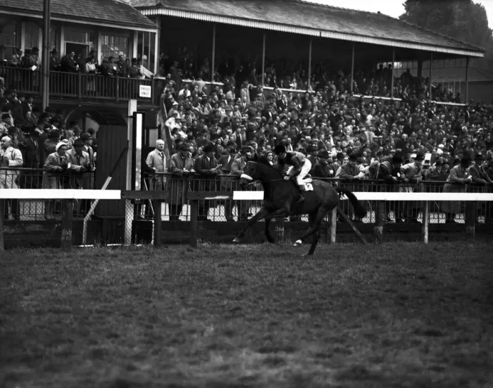 Framed Print : Horse racing at Windsor. 5th race, Windsor handicap. Tandai