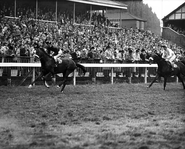Horse racing at Windsor. Number 10, E Mercer on Wellingborough. 20th May 1959