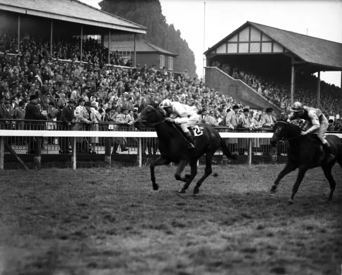 Framed Print : Horse racing at Windsor. Number 24 Sally Sue, W Elliott. 20th May 1959 Framed Print : Horse racing at Windsor. Number 24 Sally Sue, W Elliott. 20th May 1959