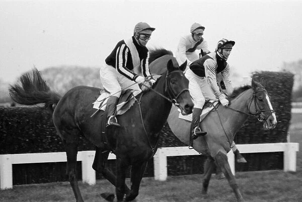 Horse racing at Windsor, Even Up in a race. 1st January 1975