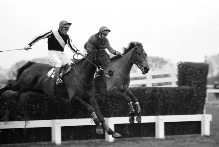 Framed Print : Horse racing at Windsor, Even Up in a race. 1st January 1975 Framed Print : Horse racing at Windsor, Even Up in a race. 1st January 1975