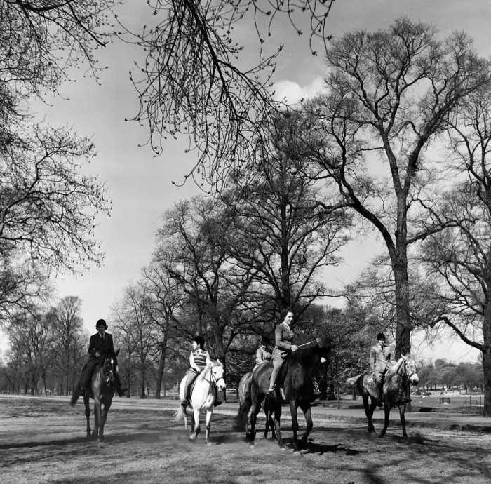 Framed Print : Horse riding on Rotten Row, Hyde Park, London. 22nd April 1954 Framed Print : Horse riding on Rotten Row, Hyde Park, London. 22nd April 1954