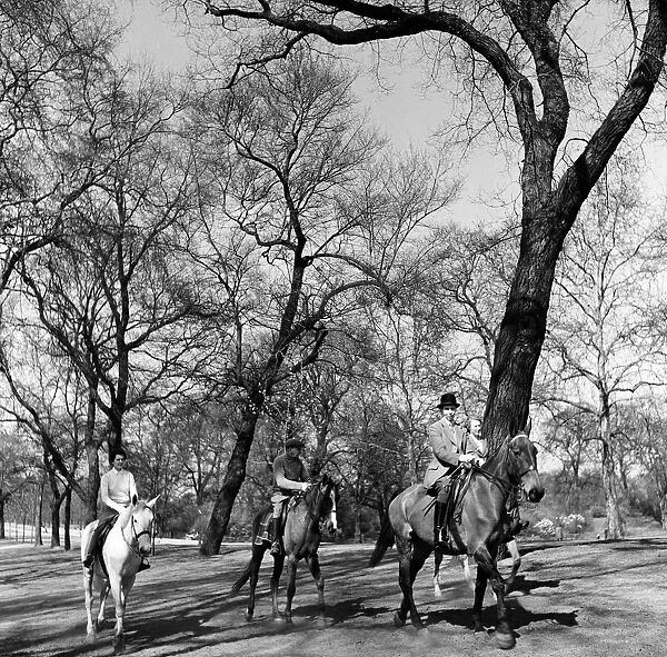Horse riding on Rotten Row, Hyde Park, London. 22nd April 1954