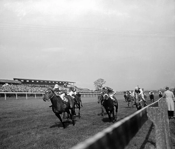 Horseracing action at Alexandra Park, 12th April 1960