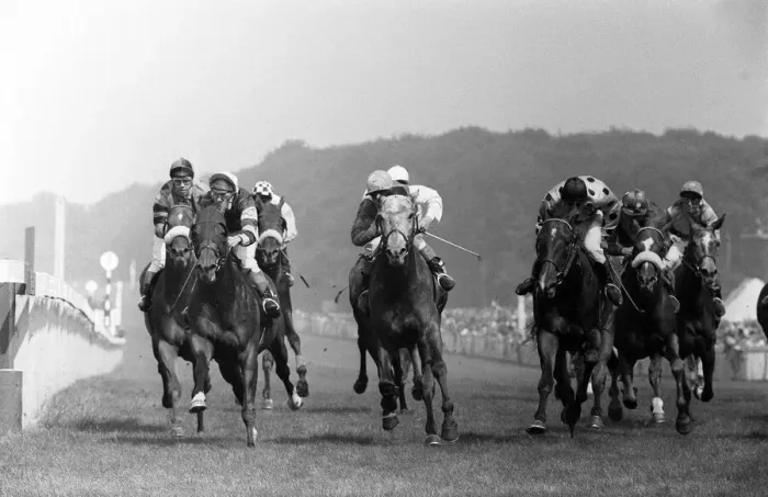 Framed Print : Horseracing Goodwood - The Stewards cup. Skydiver (left Framed Print : Horseracing Goodwood - The Stewards cup. Skydiver (left