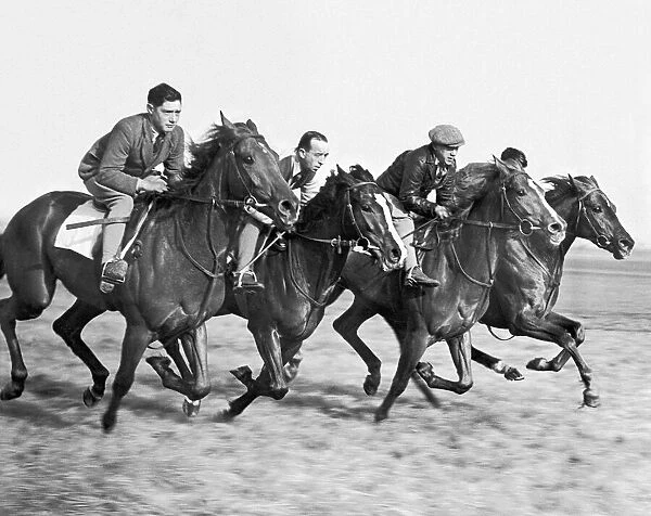 Horses Star King, Martin Venture, British Soli and Prince Danils on early morning gallop