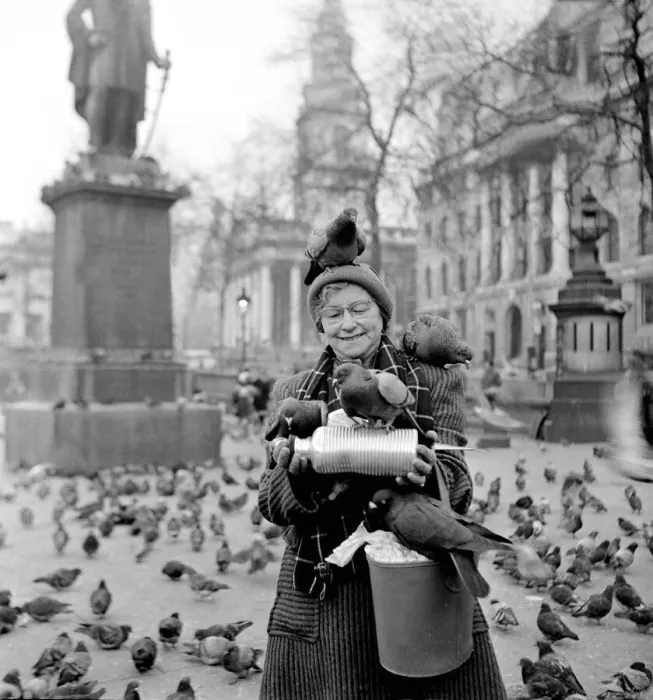 Framed Print : Hot water bottles for the pigeons in Trafalgar Square to keep them warm during a cold Framed Print : Hot water bottles for the pigeons in Trafalgar Square to keep them warm during a cold