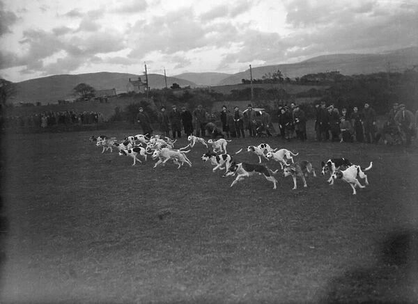 Hound Trailing Association 1949 Meeting at Egremount nr Whitehaven 022021  /  8