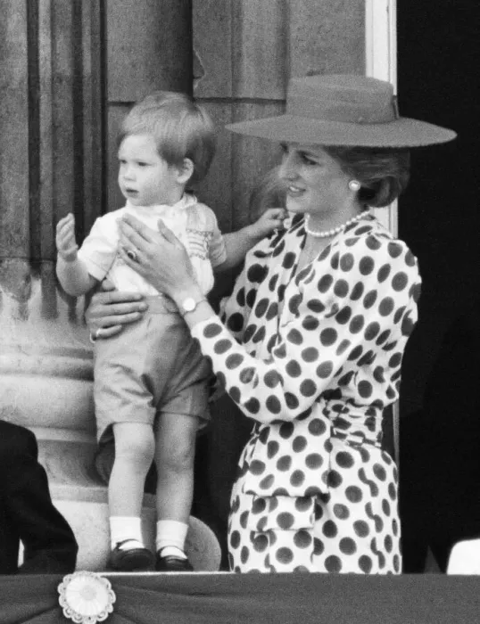 Framed Print : HRH Princess Diana, The Princess of Wales holds her young son Prince Harry Framed Print : HRH Princess Diana, The Princess of Wales holds her young son Prince Harry