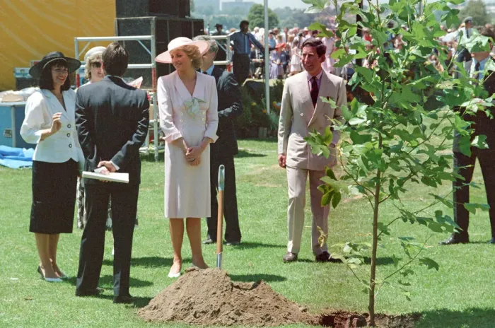 Framed Print : HRH Princess Diana, The Princess of Wales during her tour of Australia in 1988 Framed Print : HRH Princess Diana, The Princess of Wales during her tour of Australia in 1988