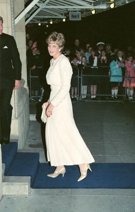 Framed Print : HRH The Princess of Wales, Princess Diana, attends the Red Cross-Daily Mirror Care in Framed Print : HRH The Princess of Wales, Princess Diana, attends the Red Cross-Daily Mirror Care in