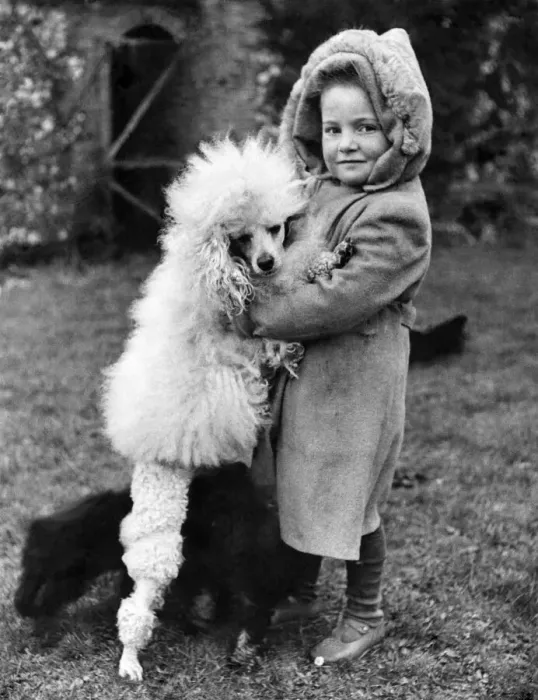 Framed Print : A hug for luck: Little Susan Ellis. 4, of Bovingdon (Herts) Framed Print : A hug for luck: Little Susan Ellis. 4, of Bovingdon (Herts)