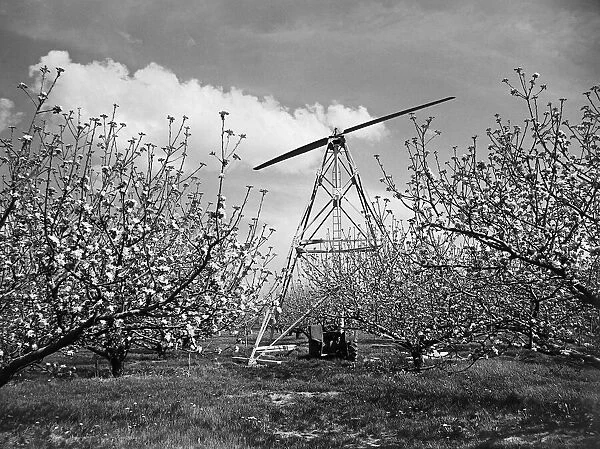 Huge fan to combat frost in apple orchards at Bramley, Cambridgeshire
