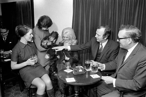 Humour: Unusual: Animals: Bears visits pub. December 1971 71-11988-002