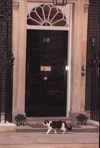 Humphrey the Downing street cat March 1996
