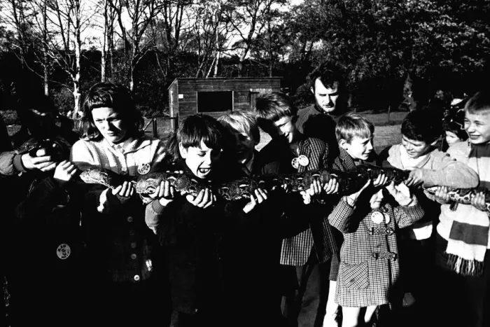 Framed Print : Some of the four hundrend children from Newcastles West End on a trip to Stanley Zoo Framed Print : Some of the four hundrend children from Newcastles West End on a trip to Stanley Zoo