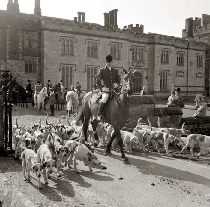 Framed Print : The Hunt - meeting at Penshurst Place 5-7 then moving off into Penshurst Park