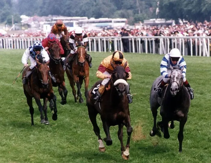 Framed Print : Indian Queen with jockey Walter Swinburn (noseband) winning the Gold Cup from Arzanni Framed Print : Indian Queen with jockey Walter Swinburn (noseband) winning the Gold Cup from Arzanni