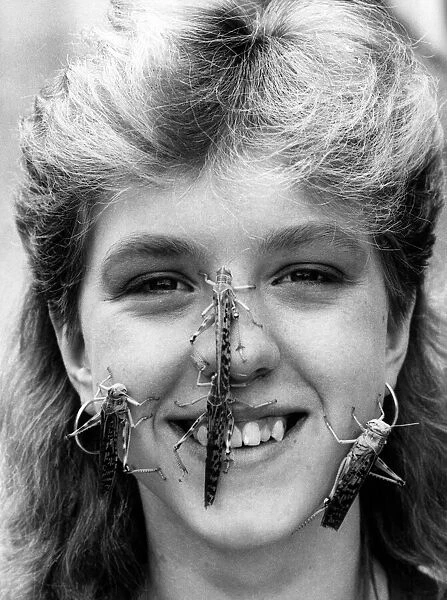 Insects: Locusts crawl over models face. April 1987 P008105