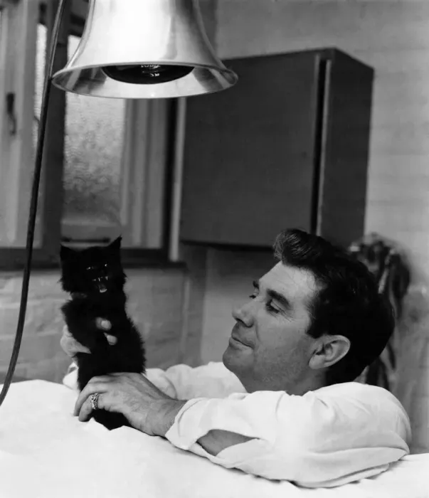 Framed Print : Inspctor Tom Nolan who saved Soot the cat, pictured with the kitten under a heat lamp