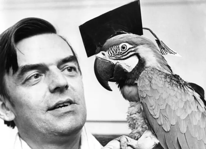 Framed Print : This intelligent Macaw needs plenty of conversation partners