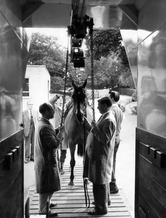 Framed Print : The interior of the new horse ambulance. August 1963 Framed Print : The interior of the new horse ambulance. August 1963