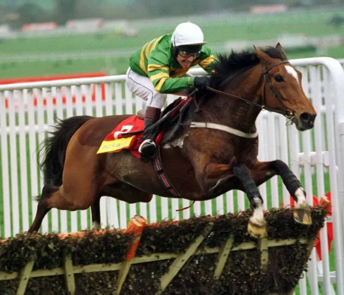 Framed Print : Istabraq and Charlie Swan win the 1998 Champion Hurdle at Cheltenham 17th March 1998 Framed Print : Istabraq and Charlie Swan win the 1998 Champion Hurdle at Cheltenham 17th March 1998