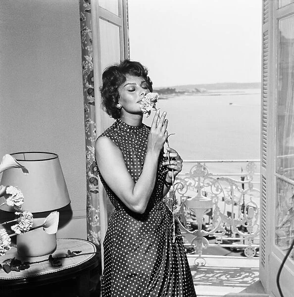 Italian actress Sophia Loren smelling a flower in her hotel room at the Cannes film