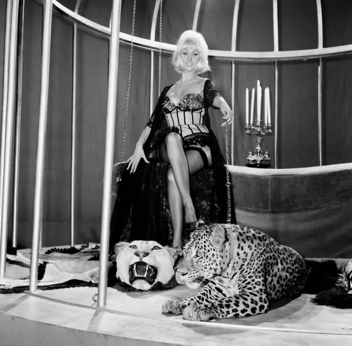 Framed Print : Jacqueline Jones, 22, in her first big start part shares her bedroom with a Leopard