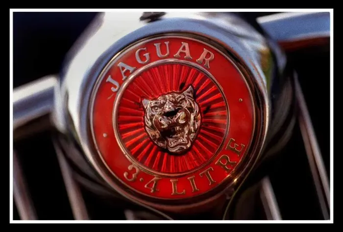 Framed Print : Jaguar Cars November 1999 badge Framed Print : Jaguar Cars November 1999 badge
