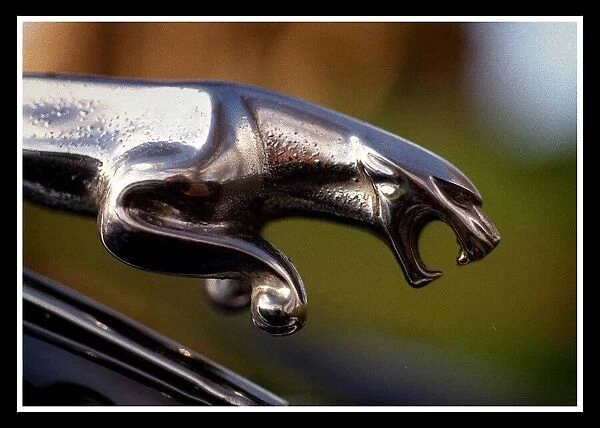 Jaguar Cars November 1999 emblem