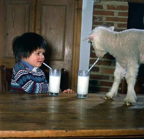 James Paxman drinks milk with Limby the Lamb January 1981