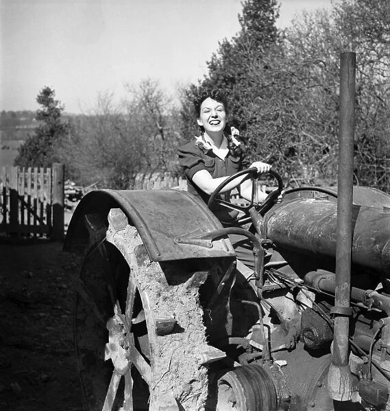 Jean Kent driving a tractor down on farm at Hartfield. March 1948 O12247