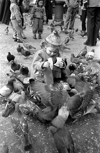 Jean Spriggney feeds Trafalgar square pigeons. March 1953. April 1953 D1248