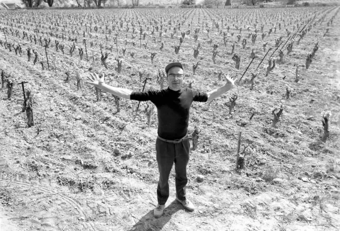 Framed Print : Jean Theron aged 47, at work in his wine fields just outside his home village of Poussan Framed Print : Jean Theron aged 47, at work in his wine fields just outside his home village of Poussan