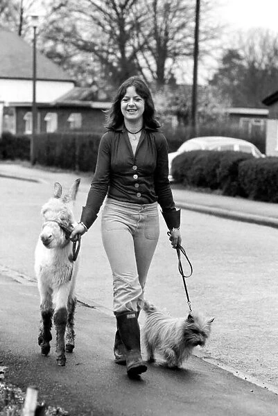 Jean Wooler walking 'Misty'the donkey. January 1975 75-00591-002