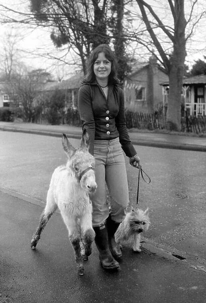 Jean Wooler walking 'Misty'the donkey. January 1975 75-00591-006
