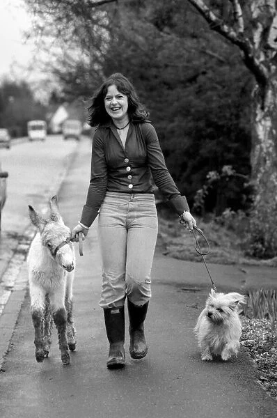 Jean Wooler walking 'Misty'the donkey. January 1975 75-00591-001