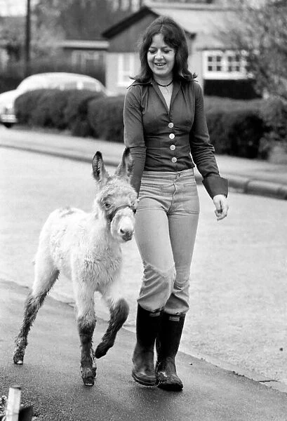 Jean Wooler walking 'Misty'the donkey. January 1975 75-00591-007