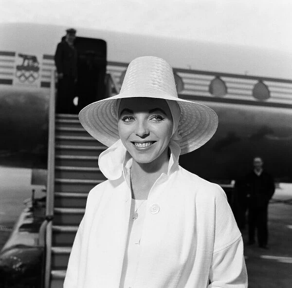 Joan Collins, London, 31st August 1960