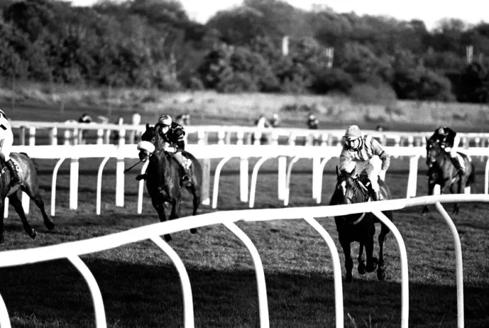 Framed Print : Jockey Geoff Harker rode Green Archer in the Comedy Of Errors Novice s