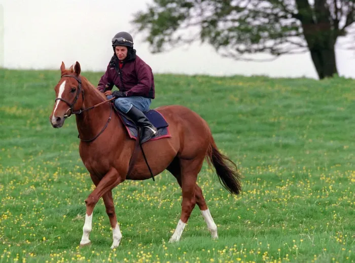 Framed Print : Jockey John McAuley on race horse Serious Hurry, June 1988 Framed Print : Jockey John McAuley on race horse Serious Hurry, June 1988
