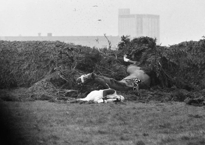 Framed Print : Jockey Paddy Farrell is thrown from his horse Border Flight at the 15th fence of Framed Print : Jockey Paddy Farrell is thrown from his horse Border Flight at the 15th fence of