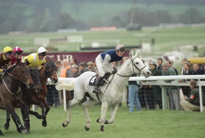 Framed Print : Jockey Richard Dunwoody on Desert Orchid leading the pack during the Gold Cup race Framed Print : Jockey Richard Dunwoody on Desert Orchid leading the pack during the Gold Cup race
