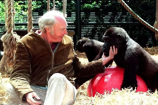 John Aspinall with a gorilla in cage of Howletts Zoo December 1997