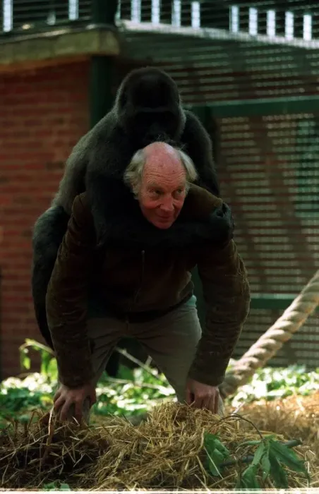 Framed Print : John Aspinall with a gorilla at Howletts Zoo December 1997