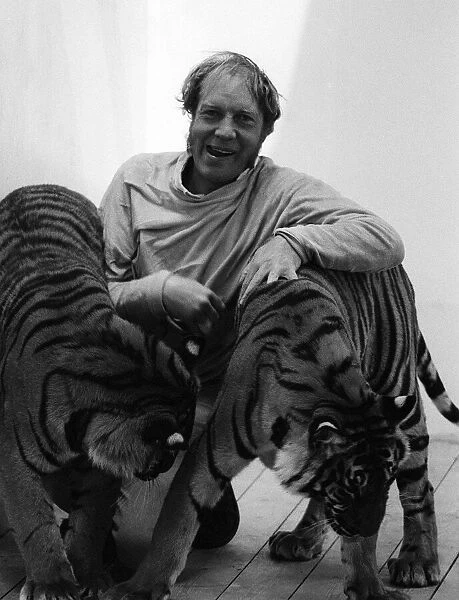 John Aspinall with tigers at Howletts Zoo July 1971